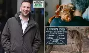 Greens Propose Dog Licensing and Zoo Abolition in Controversial Animal Welfare Plan