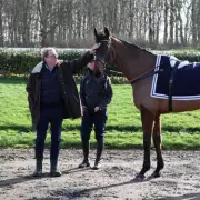 Harry Redknapp's Cheltenham Contender The Jukebox Man Sidelined by Mystery Muscle Injury