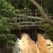 Hawaii's Wahiawa Dam Faces Imminent Collapse, Prompting Urgent Evacuations