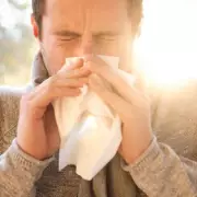 Hay Fever Alert: Five Tree Types to Avoid as Pollen Season Intensifies