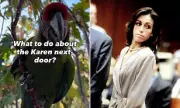 Heidi Fleiss' Macaws Spark Las Vegas Neighbourhood Dispute Over Dawn Screeching