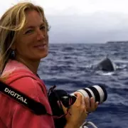 Hero Whale Saves Diver from Shark by Hiding Her Under Fin in Cook Islands