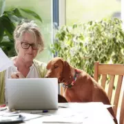 HMRC Collects £137.5m in Late Payment Interest from 1.3 Million Taxpayers