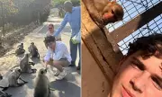 Hollyoaks Actor Oscar Curtis Hospitalised After Monkey Bite in India