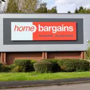 Home Bargains' £15 Solar String Lights Add Vintage Charm to Gardens