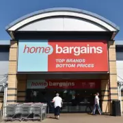 Home Bargains Slashes £180 Egg Chair to £70 in Spring Sale