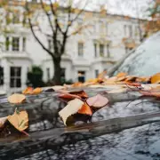 Homeowners Warned: Parking on Your Own Driveway Could Be Illegal