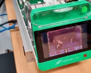 Human Brain Cells in a Dish Master Doom, Sparking Sci-Fi Fears and Medical Hopes