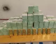 Hungarian Forces Accused of Forced Injection on Ukrainian Bank Staff