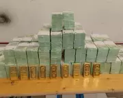 Hungary Seizes Millions in Cash and Gold from Ukrainian Convoy Amid Diplomatic Spat