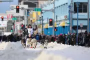 Iditarod's 54th Run Begins with Downtown Anchorage Canine Takeover