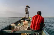 Illegal Fishmeal Factories Threaten Guinea-Bissau's Marine Sanctuary