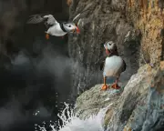 Inside Britain's National Parks Review: A Heartfelt Ode to Contentment