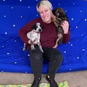 Inside Bucharest's 'Home of Hope': How UK Dog Import Rules Impact Romanian Shelters