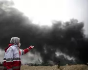 Iran Conflict's Environmental Toll: Black Rain and Toxic Legacy Emerge