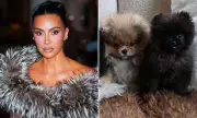 Kim Kardashian Defies Critics by Reposting Controversial Christmas Puppy Photo
