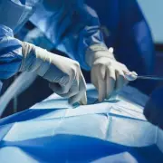 Lab-Grown Pig Tissue Could Create New Oesophagus for Babies Within Five Years