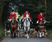 Labour Government Launches Public Consultation on Trail Hunting Ban