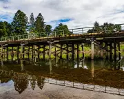 Man Charged with Murder After Alleged Axe Attack at NSW Campground