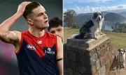 Melbourne Demons Star Bayley Fritsch Injured by Dog Bite, Doubtful for AFL Opener