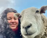 Merlin the Therapy Sheep: From Field Weed Control to Mental Health Healer
