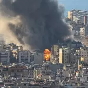 Middle East Dog Owners' Heartbreaking Plea Amidst Bombing Crisis