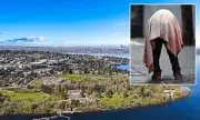 Millionaire Island Sees Vagrants and Drug Incidents After New Seattle Tram Link Opens