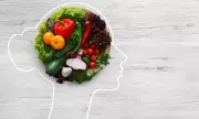 MIND Diet Shown to Slow Brain Ageing by Over Two Years in Major Study