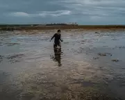 Mining for Clean Energy Batteries Ravages Philippines' Last Ecological Frontier