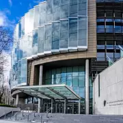 Mother Weeps in Court Over Slapping Baby and Neglecting Older Children