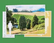 Mount Arthur's Quiet Truth: Nature as Our Kin, Not Our Enemy