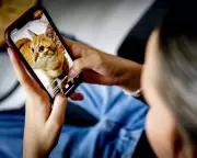 MPs Reject Under-16 Social Media Ban, Grant Ministers New Powers