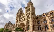 Natural History Museum Crowned UK's Top Tourist Attraction for 2025