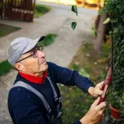 Neighbour Disputes Over Hedges and Trees Could Lead to £26,000 in Fines