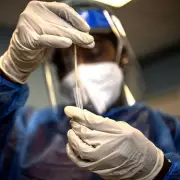 New 'Cicada' Covid Variant BA.3.2 Sparks Global Concern Over Vaccine Evasion