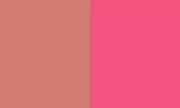 New Colour Perception Test Challenges What You Thought You Knew About Vision