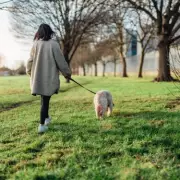 New Dog Walking Law Enacted: Police Can Seize Pets on Suspicion of Livestock Worrying