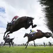 Newsboy's Horse Racing Tips: Peckforton Hills Nap at Southwell on Tuesday