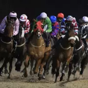 Newsboy's Racing Tips: Fistral Beach Napped at Wolverhampton on Monday