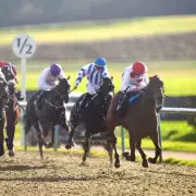 Newsboy's Wednesday Racing Tips: Kondratiev Wave Napped at Lingfield