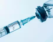 Non-Surgical Brazilian Butt Lift: Share Your Personal Experiences and Insights