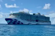 Norovirus Outbreak on Star Princess Cruise Ship Affects Over 150 People