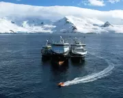 Norway's Aker QRILL Faces Backlash Over 'Blue Tick' Sustainability Label