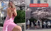 Notting Hill Cherry Blossom Chaos: Influencers Swarm Residential Streets