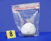 NYPD Officers Face Disciplinary Action Over Snowball Fight Incident