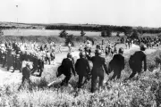 Official Inquiry into 1984 Battle of Orgreave Launches Evidence Call