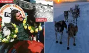 Oregon Couple Sue Legendary Dog Sled Kennel Over Alaska Tour Accident