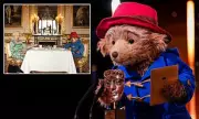 Paddington Bear's Royal Ascension: From Children's Books to Cultural Icon