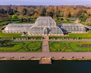 Paris Fashion Week Showcases Elegance and a Well-Groomed Collie in Daily Photos