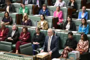 Parliamentary Reports Gather Dust as Government Delays Responses to Key Inquiries